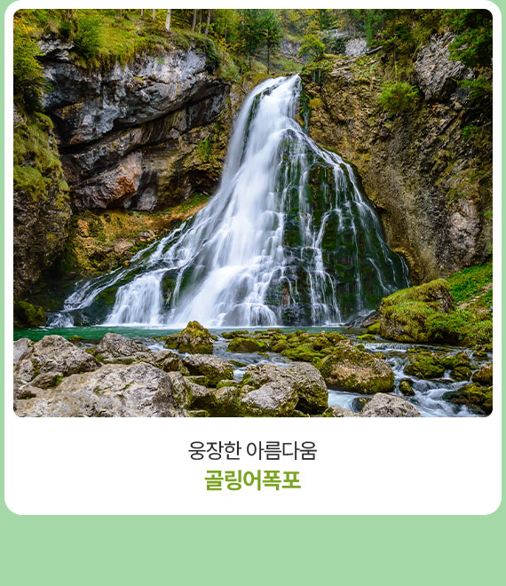 컨텐츠