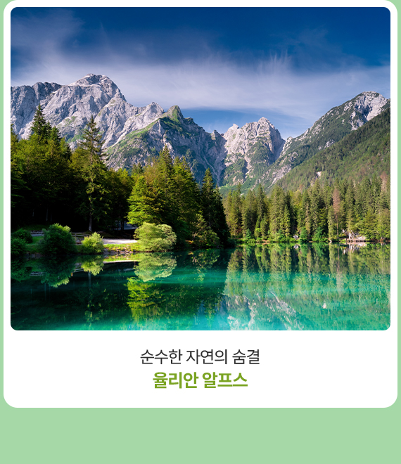 컨텐츠