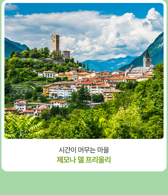 컨텐츠