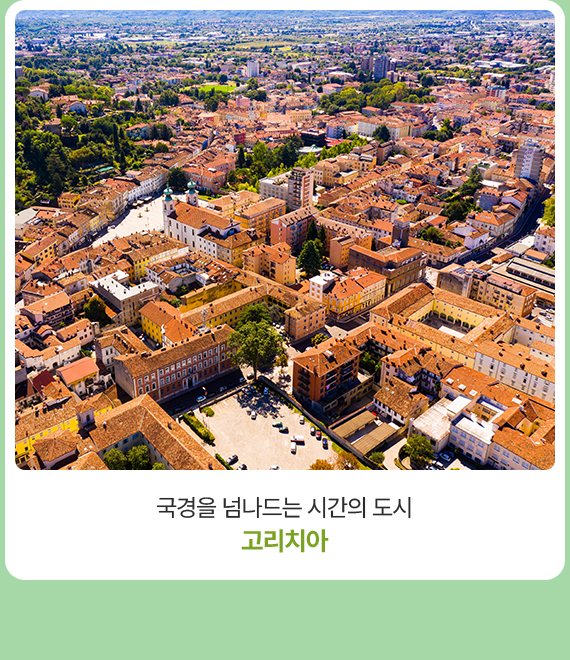 컨텐츠