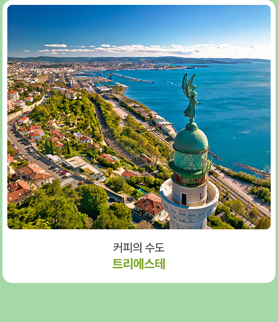 컨텐츠