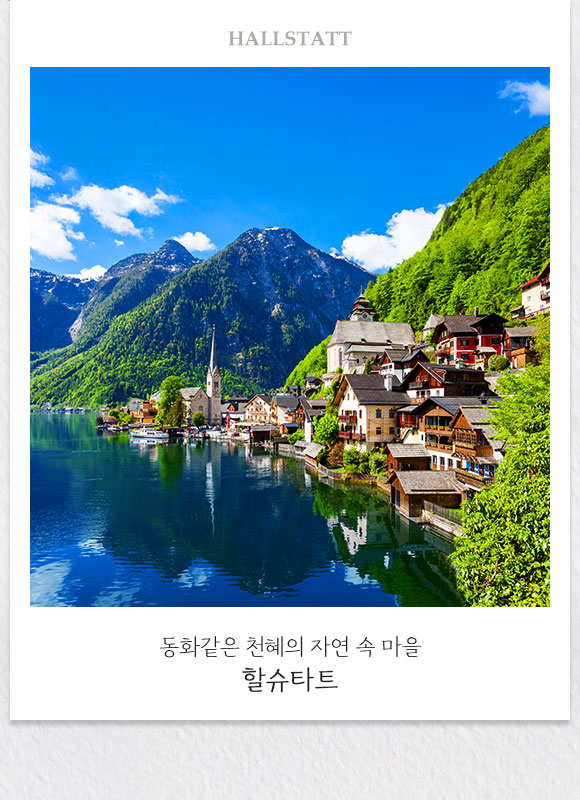 컨텐츠