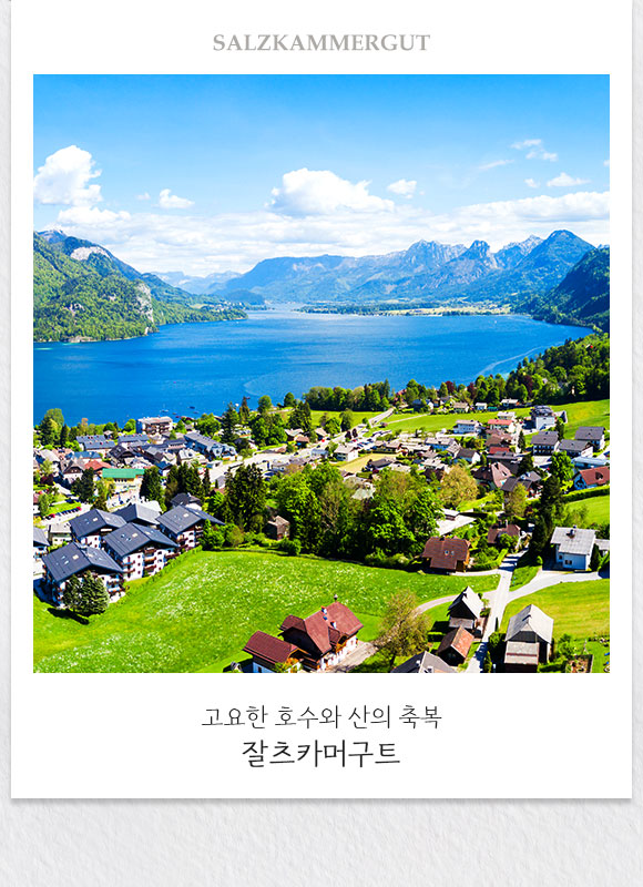 컨텐츠