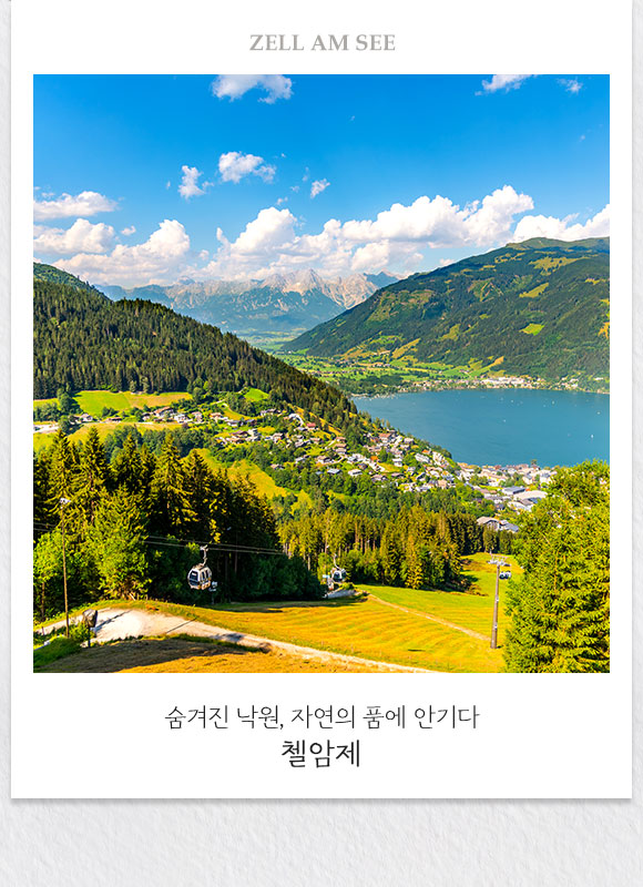 컨텐츠