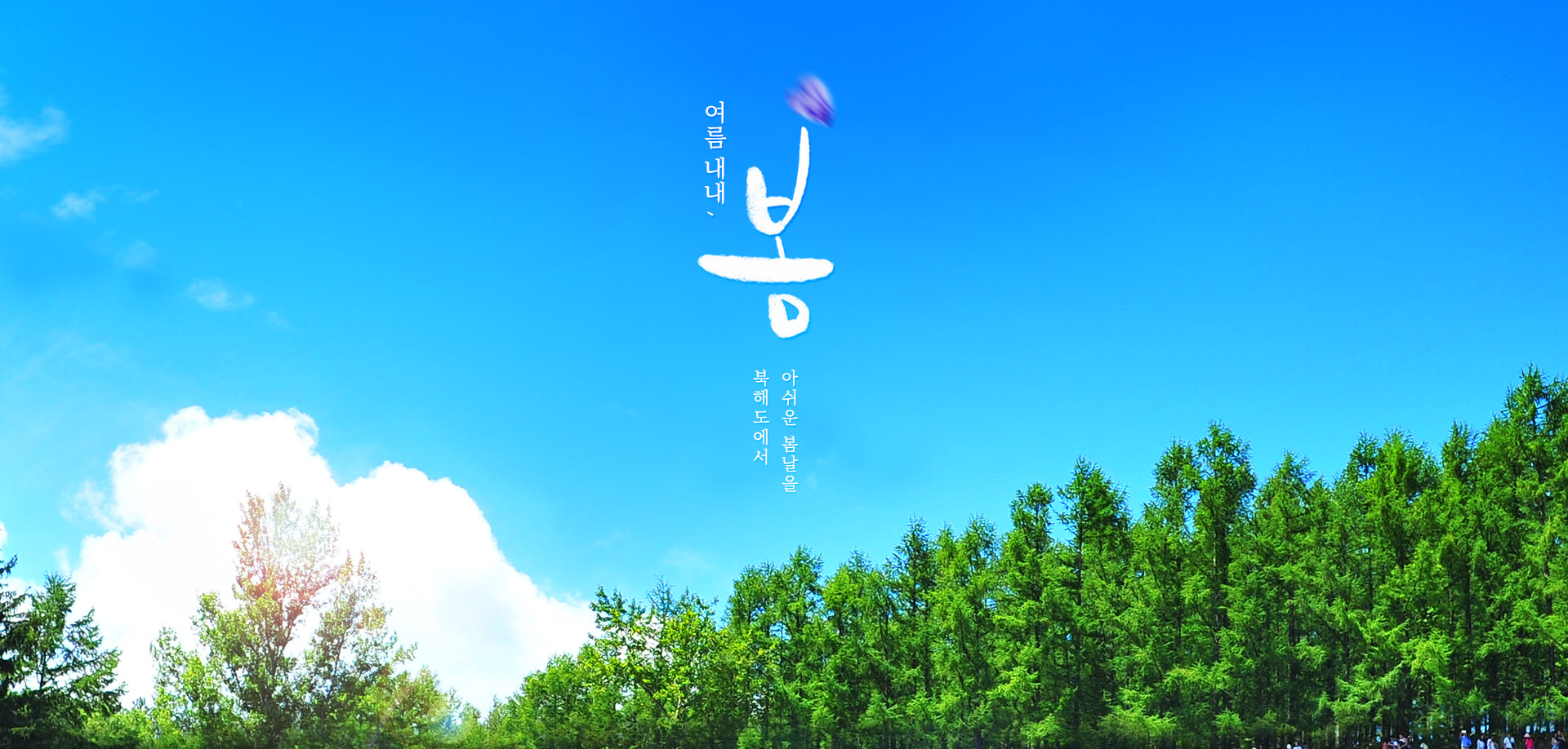 컨텐츠
