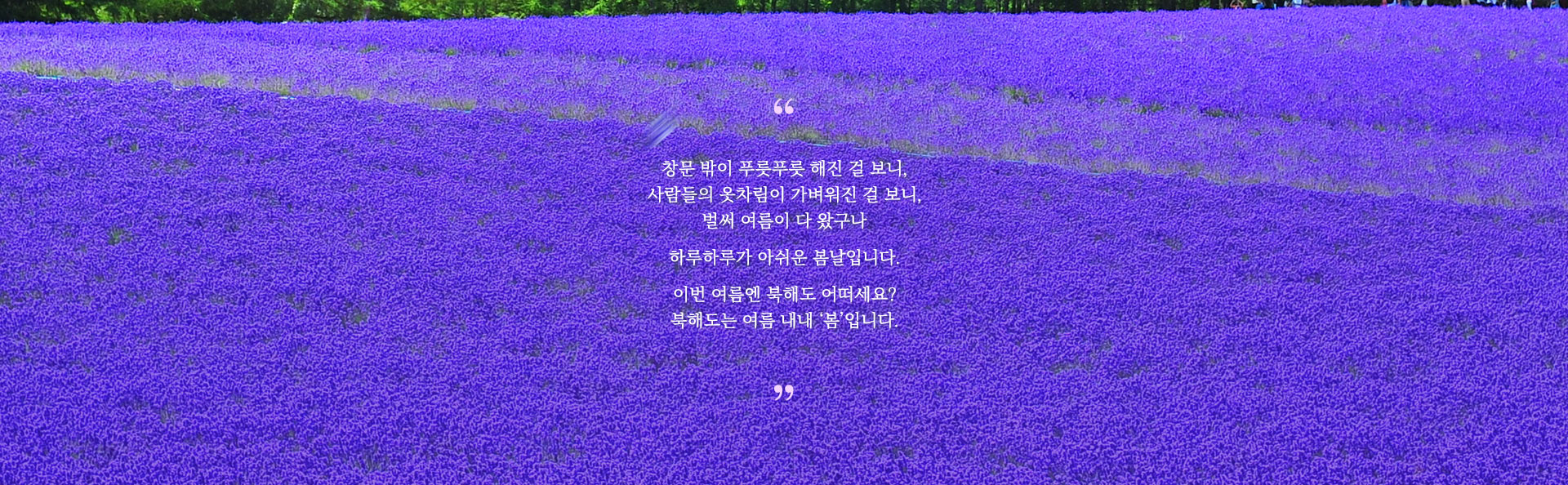 컨텐츠