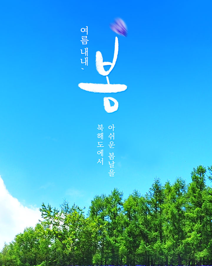 상단