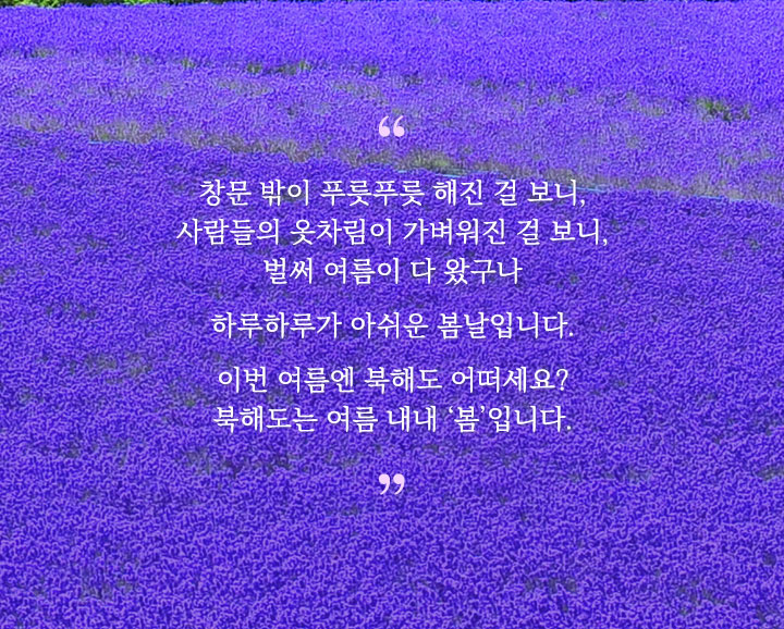 컨텐츠