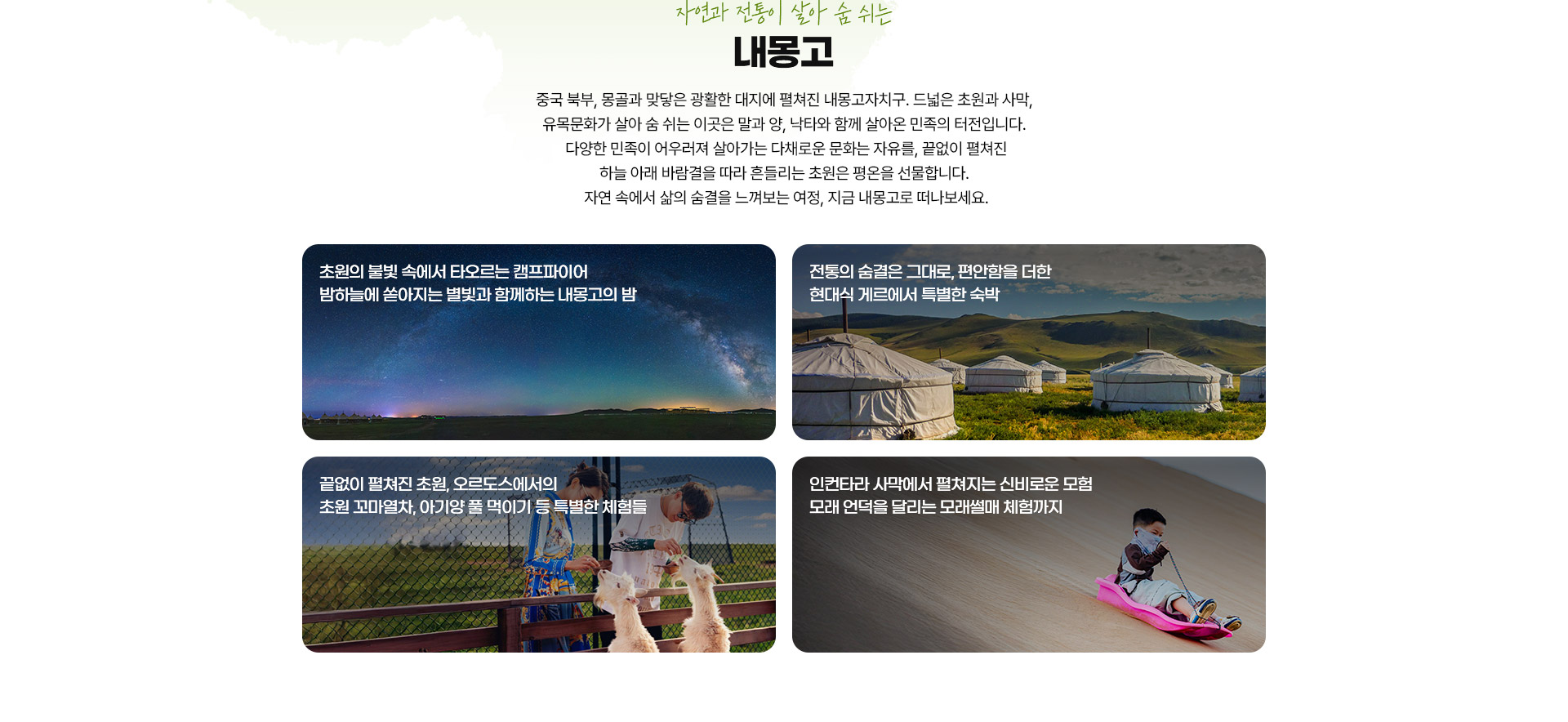포인트