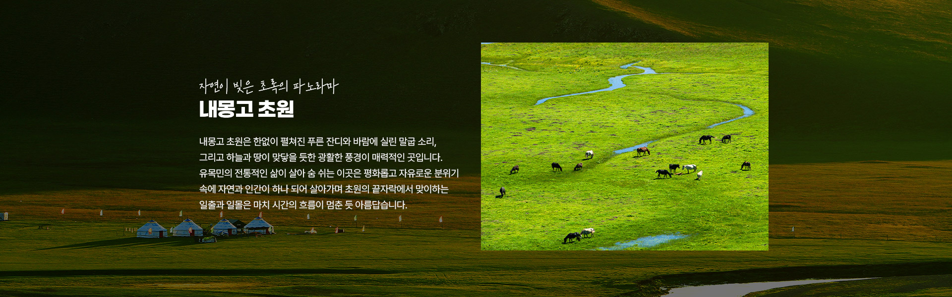포인트
