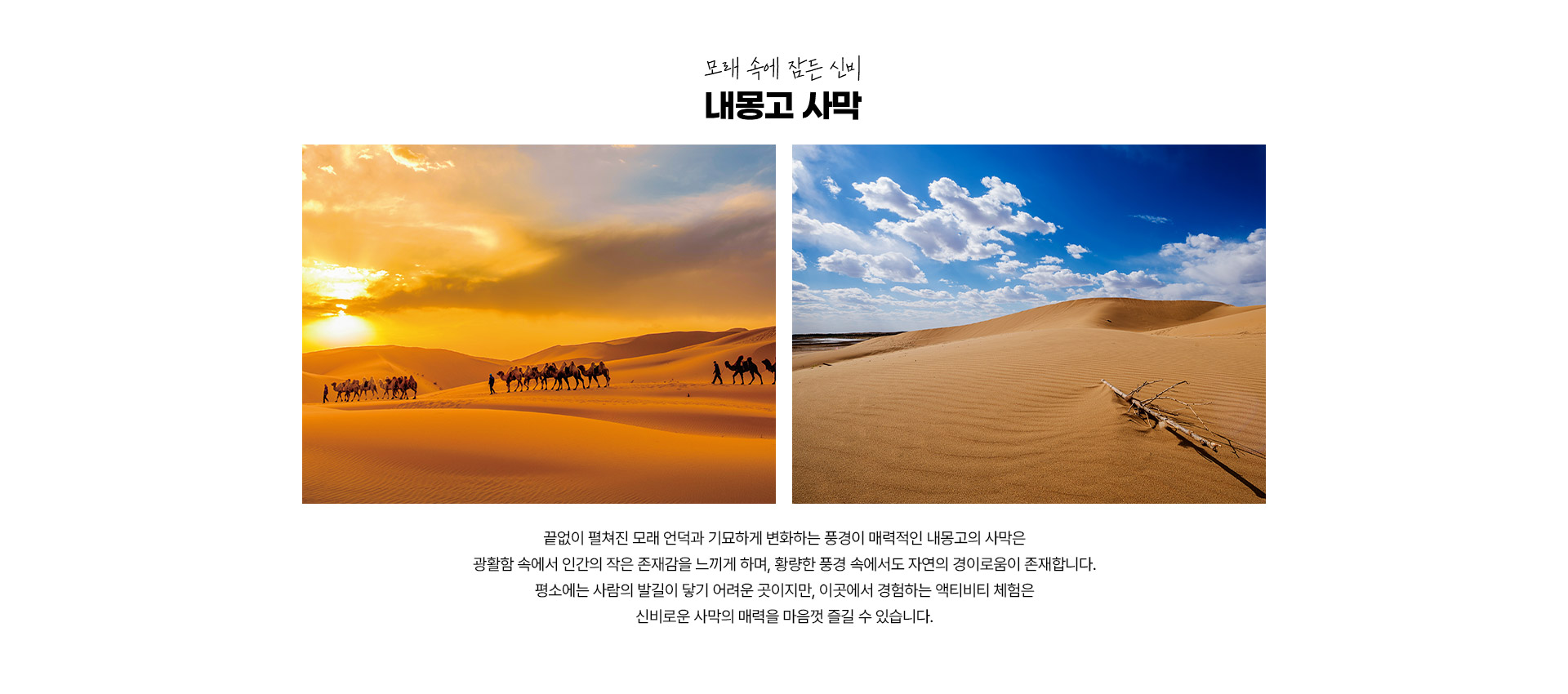 포인트