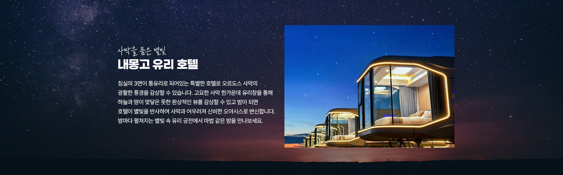 포인트