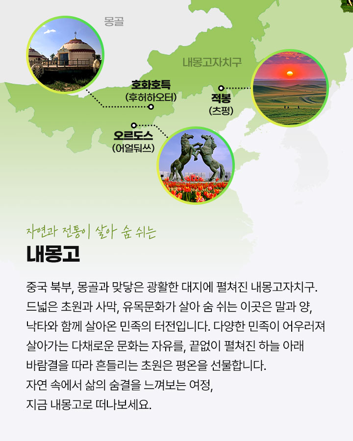 포인트