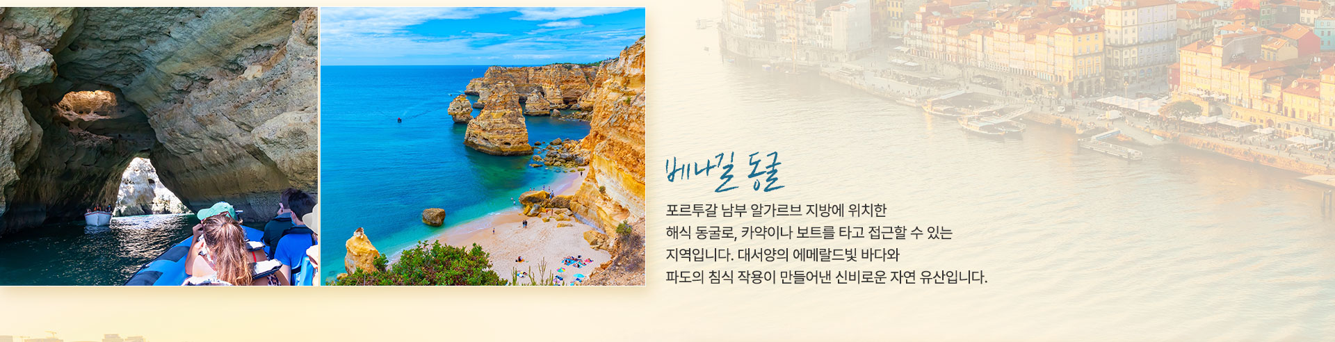 컨텐츠