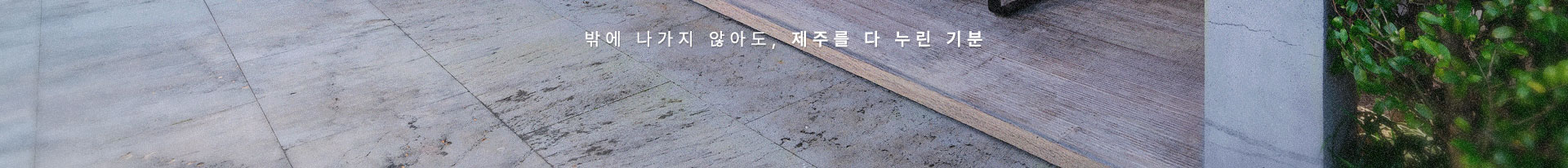 컨텐츠