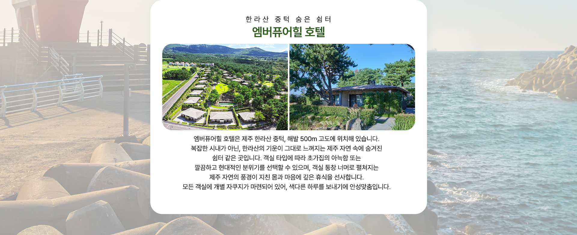 컨텐츠