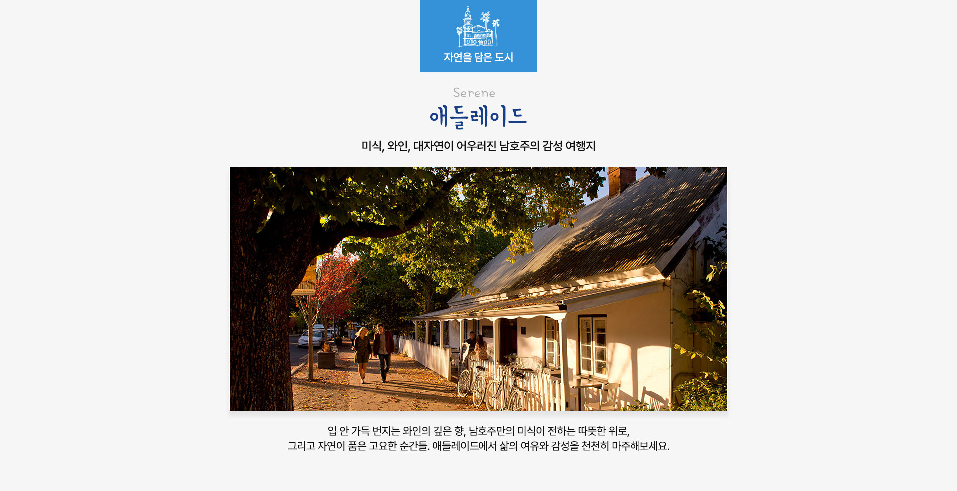 컨텐츠