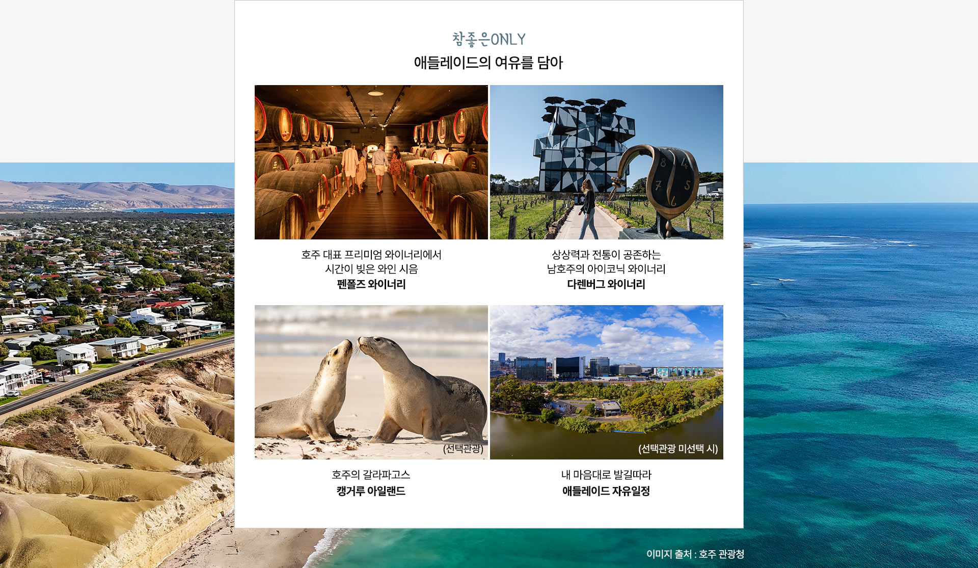 컨텐츠