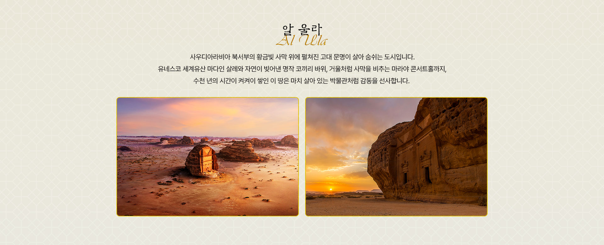 포인트