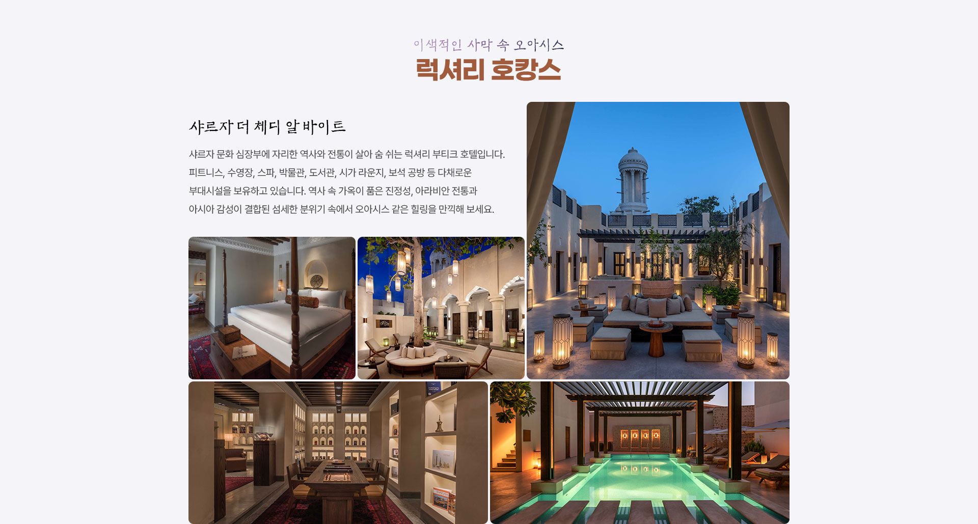 포인트