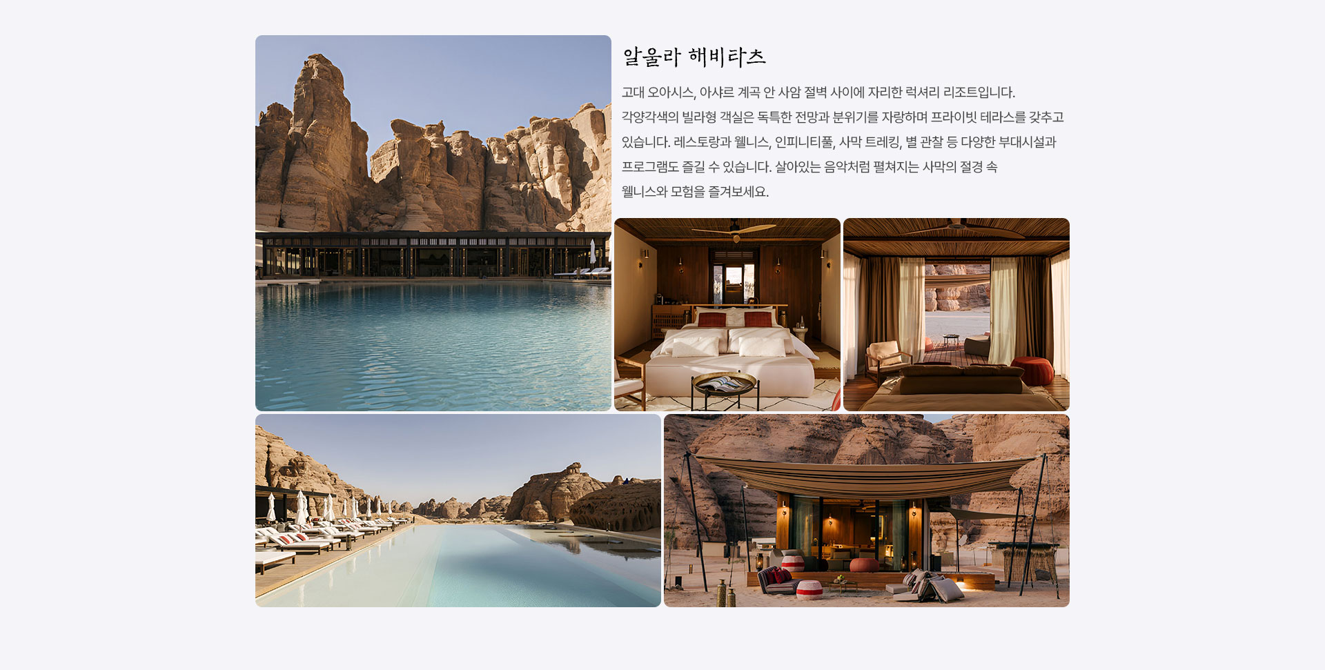 포인트