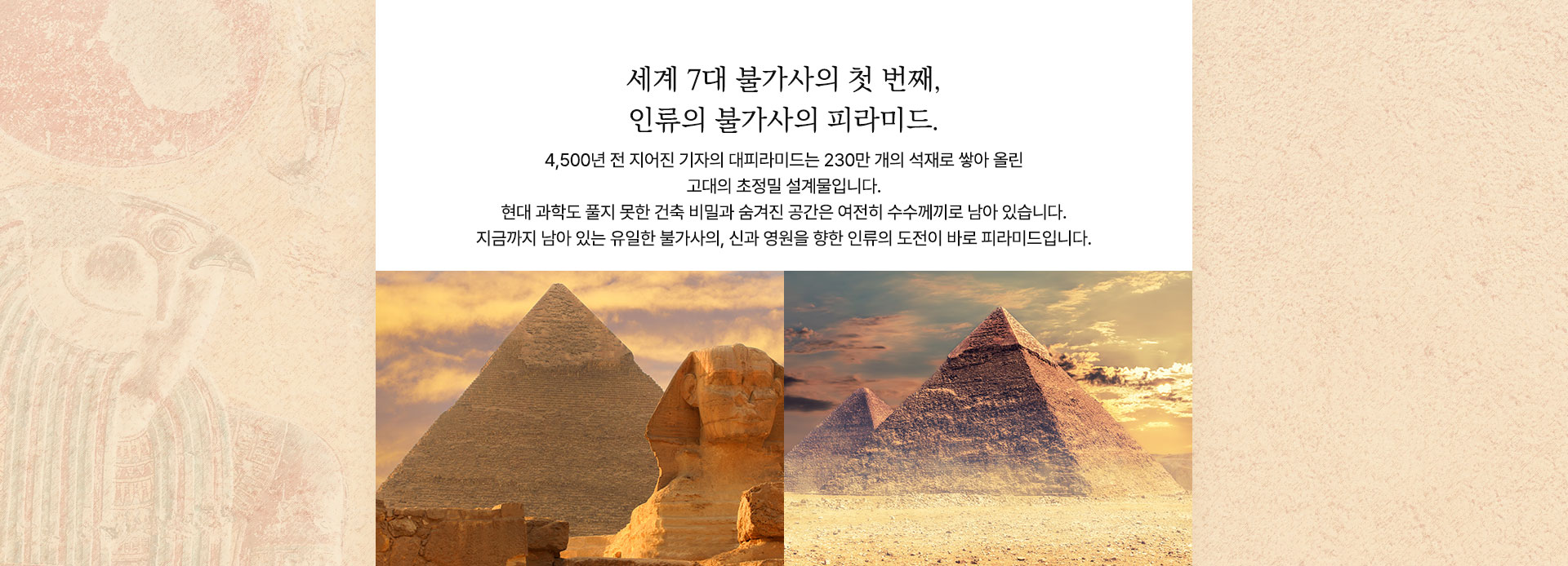 컨텐츠