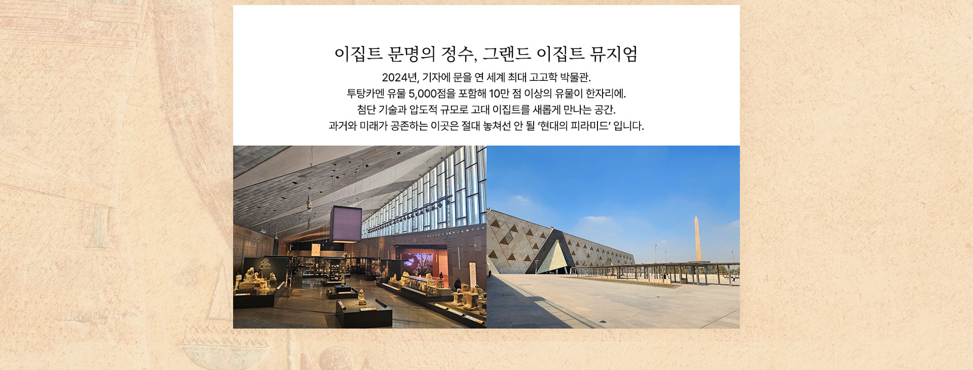 컨텐츠