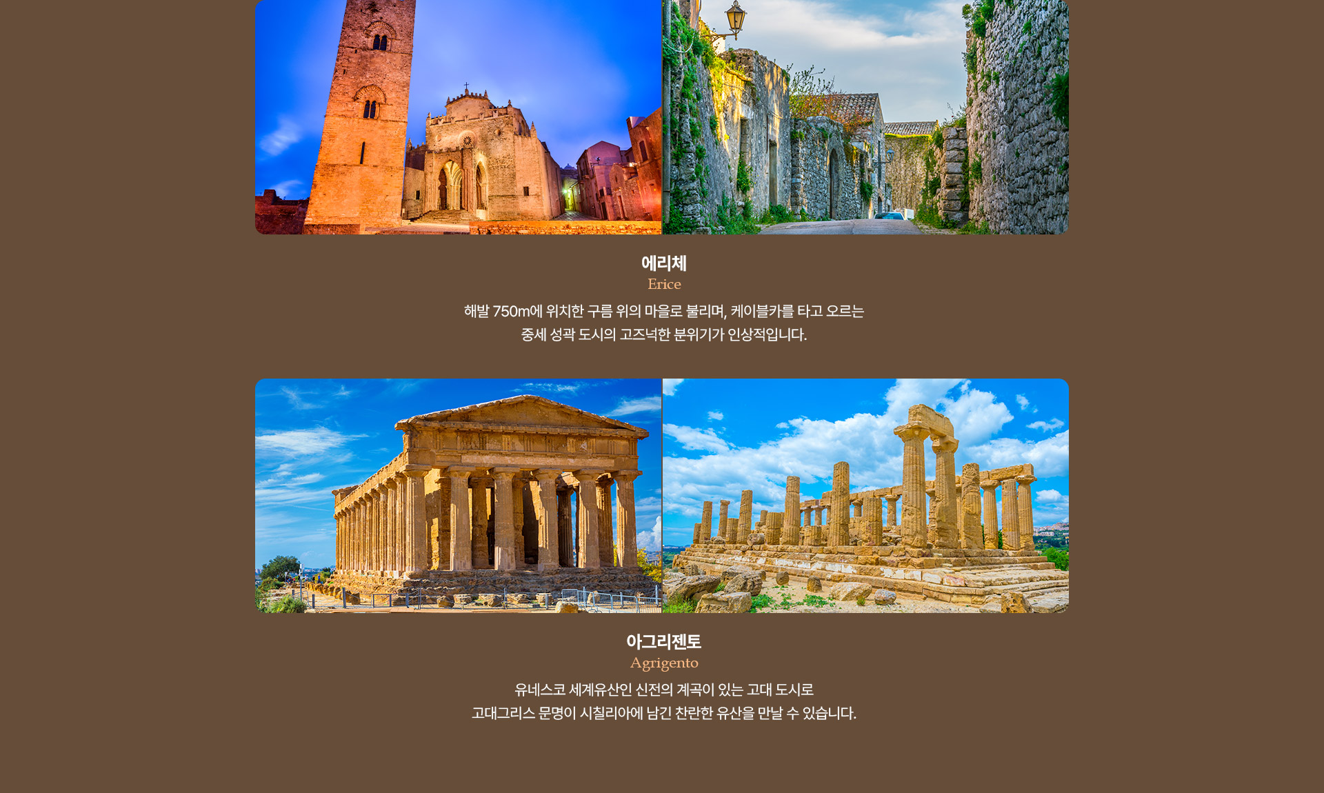 포인트