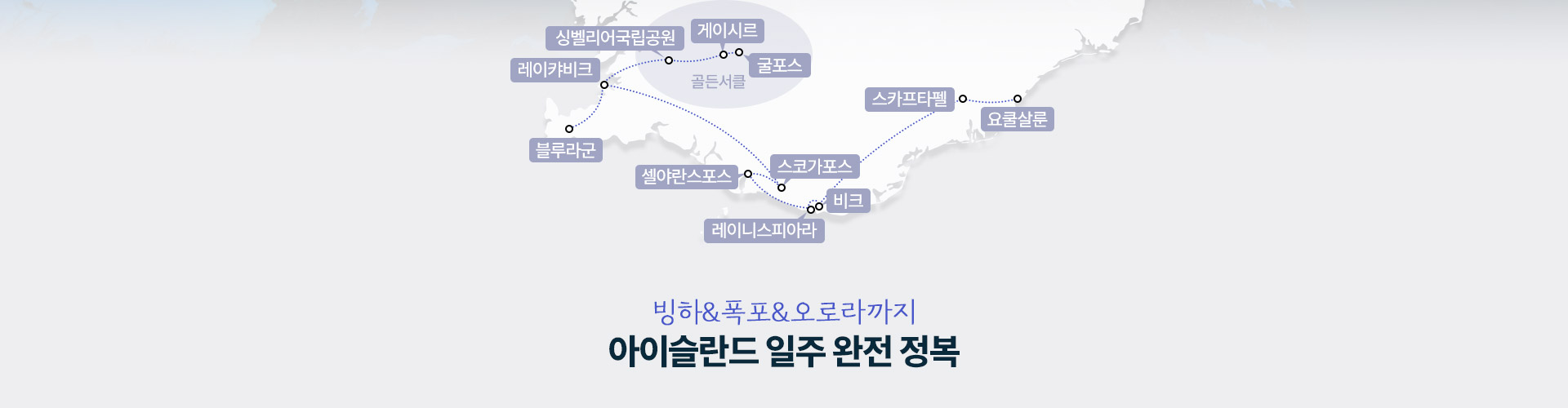 포인트
