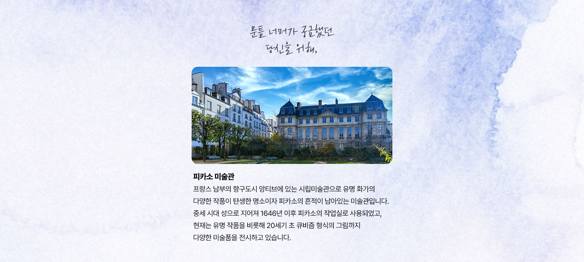 포인트