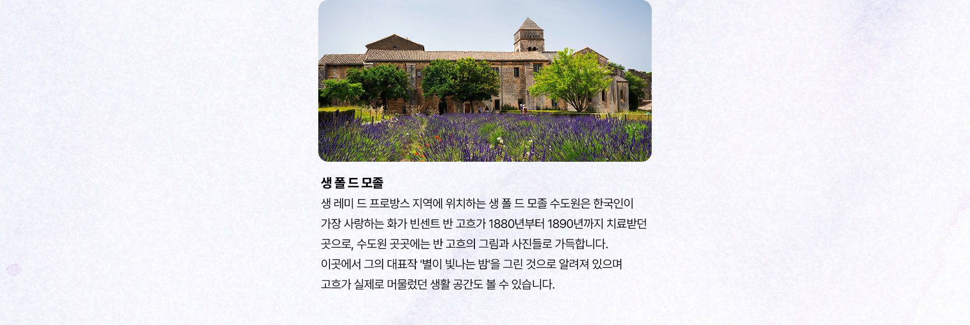 포인트
