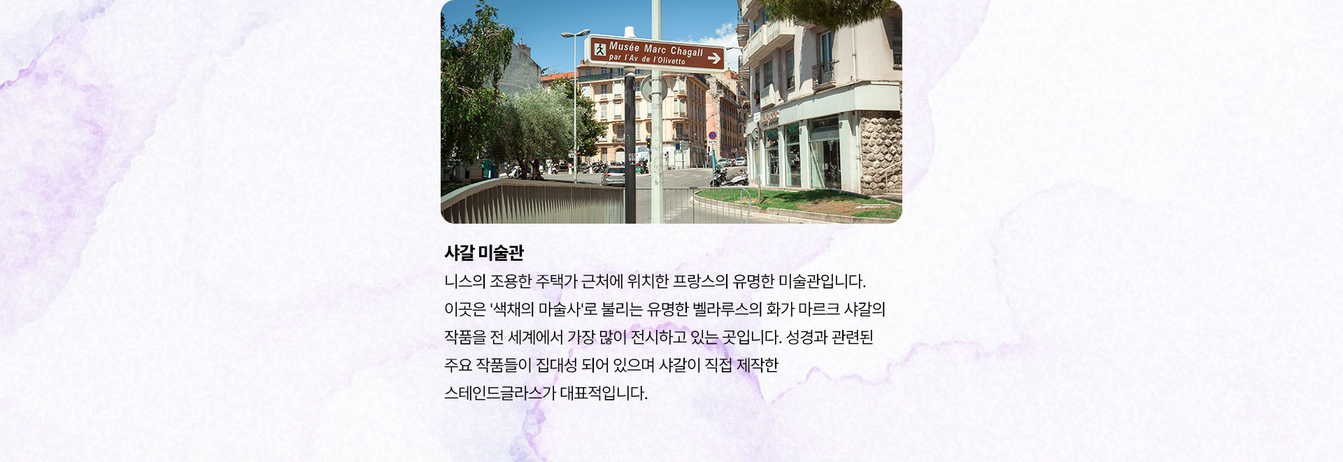 포인트