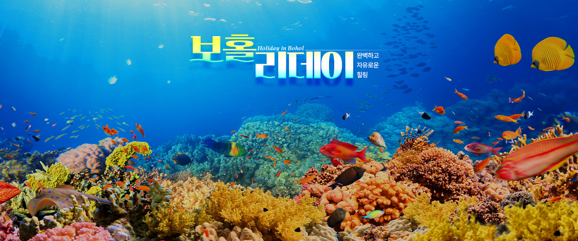 메인