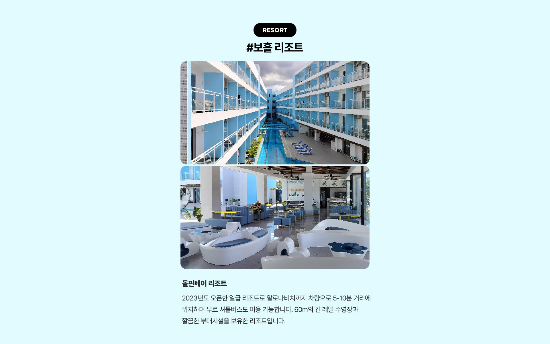 포인트