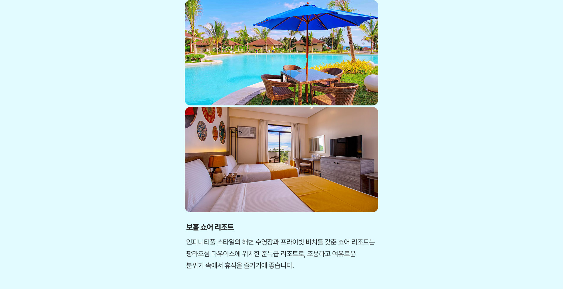 포인트