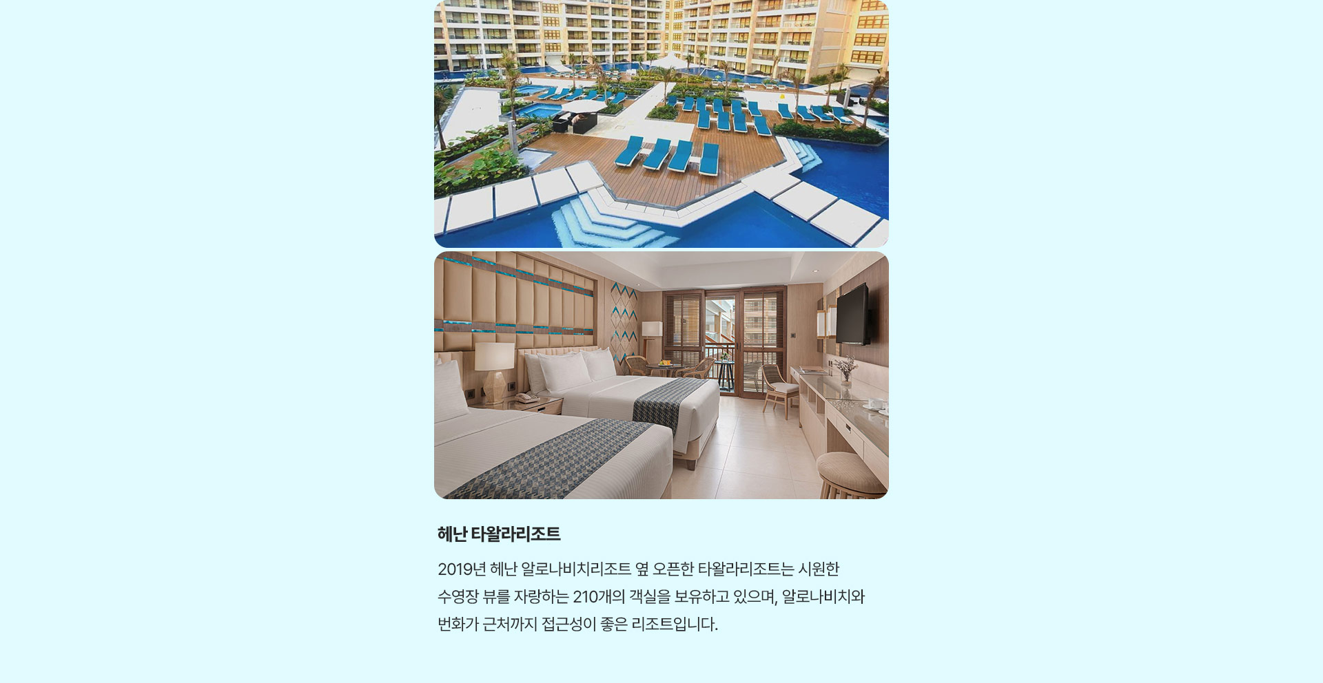 포인트