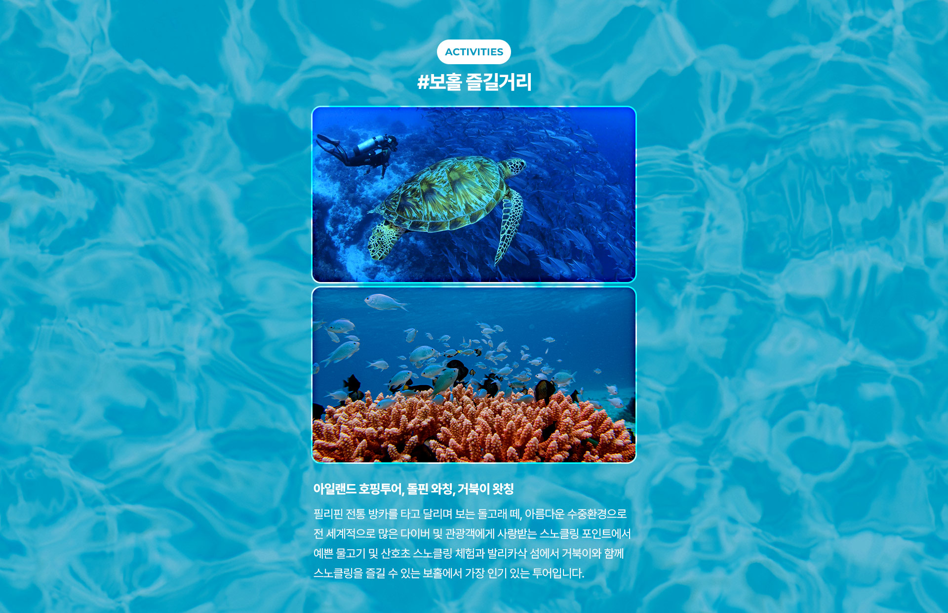 포인트
