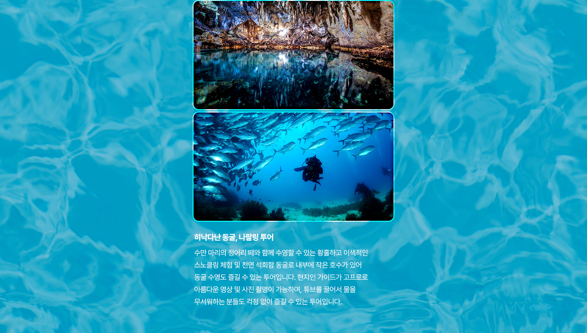 포인트