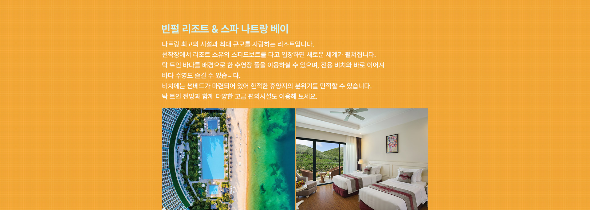 컨텐츠