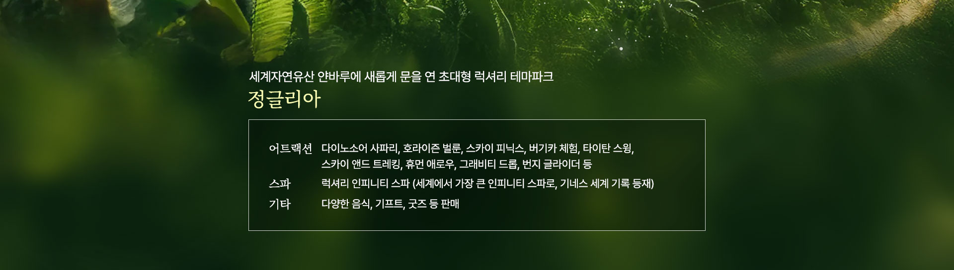 컨텐츠