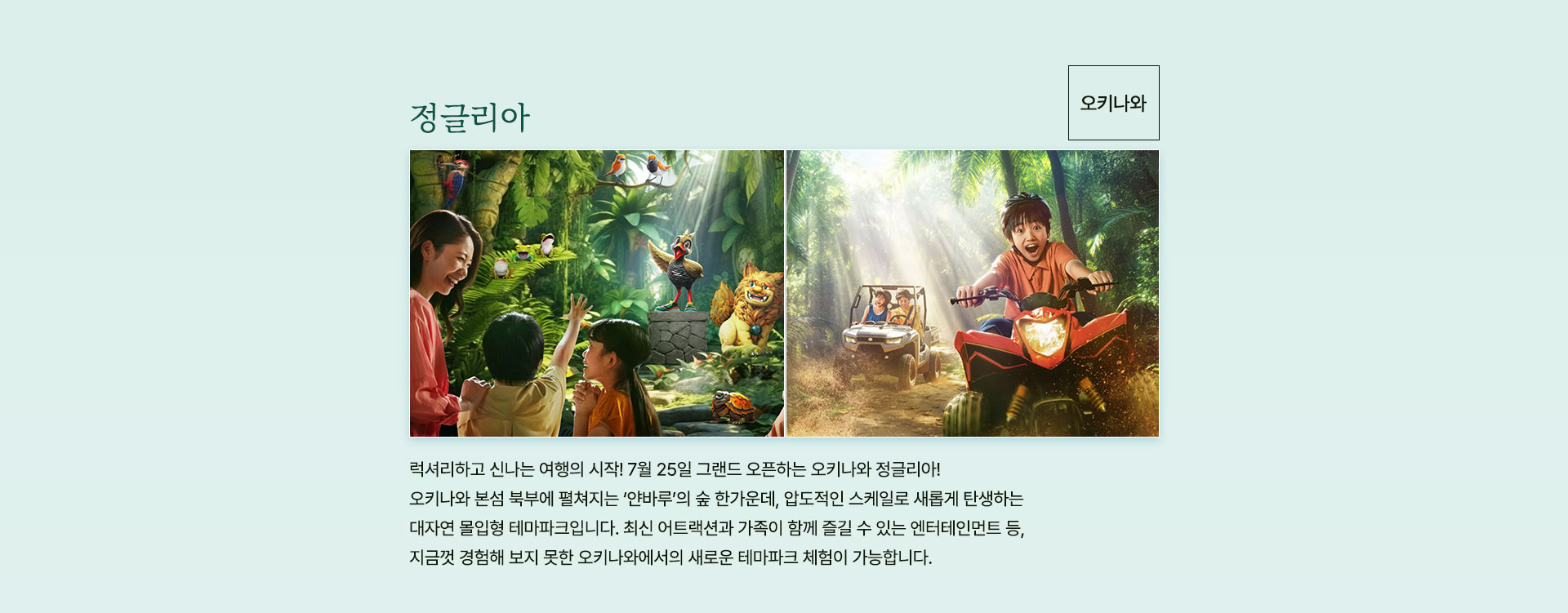 컨텐츠
