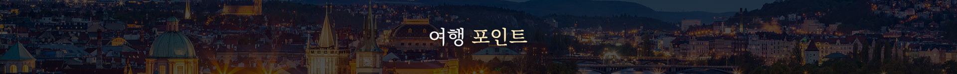 컨텐츠