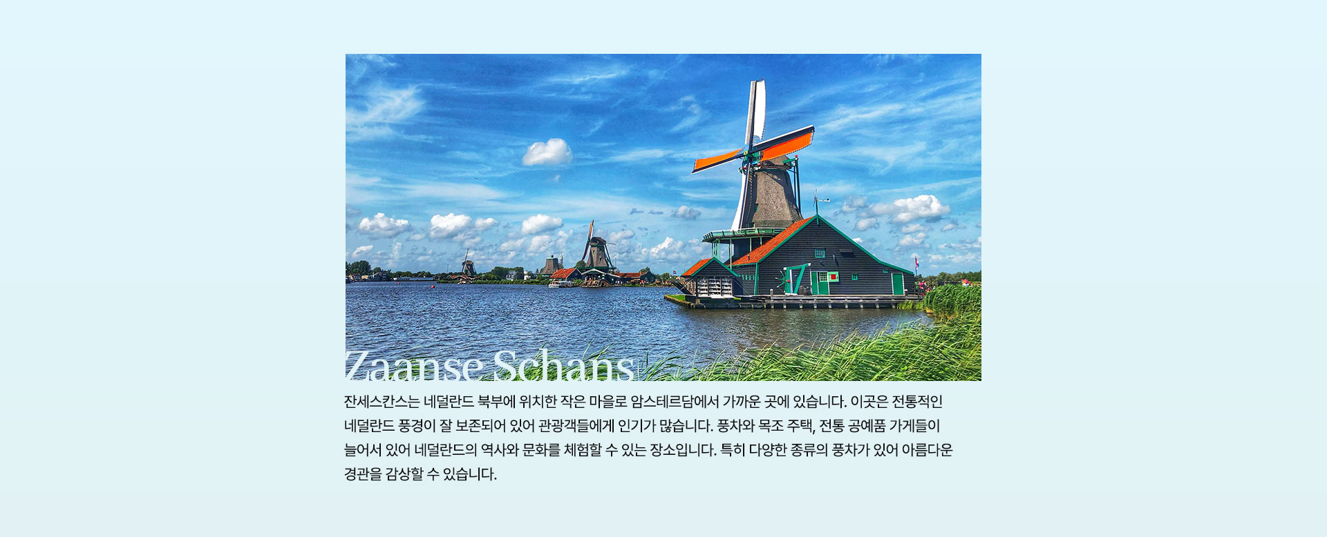 컨텐츠