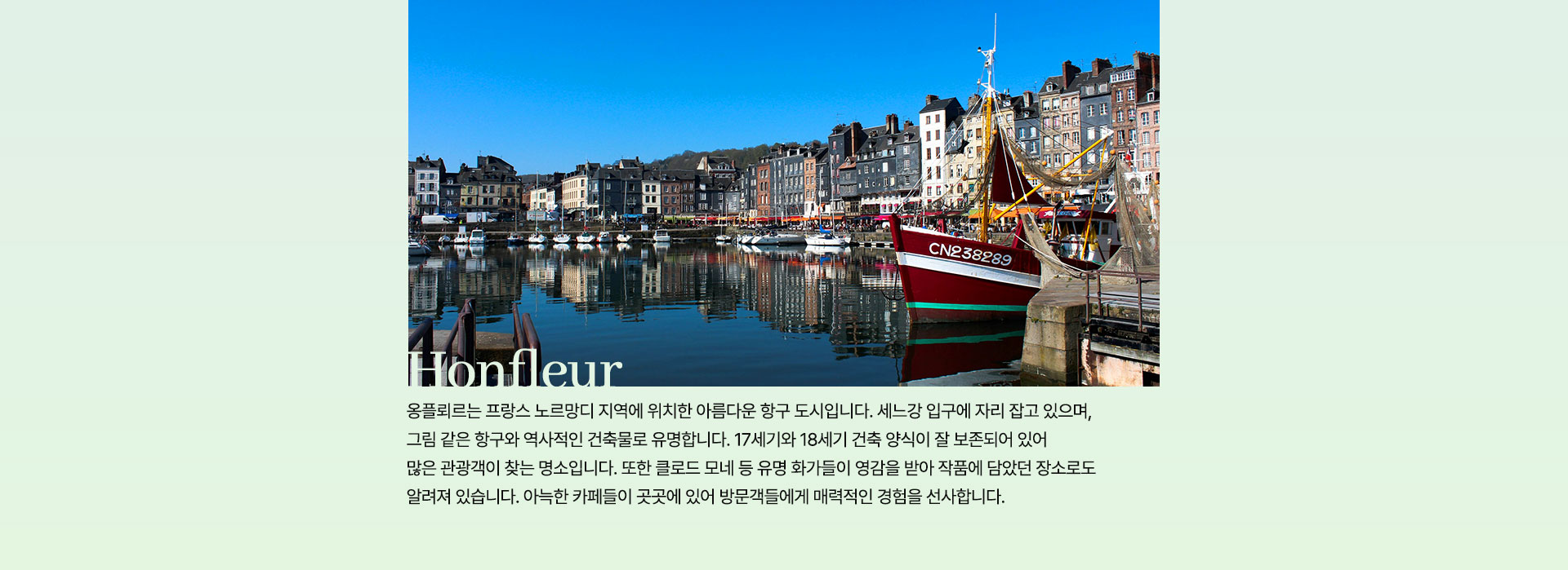 컨텐츠