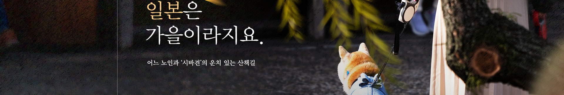 컨텐츠