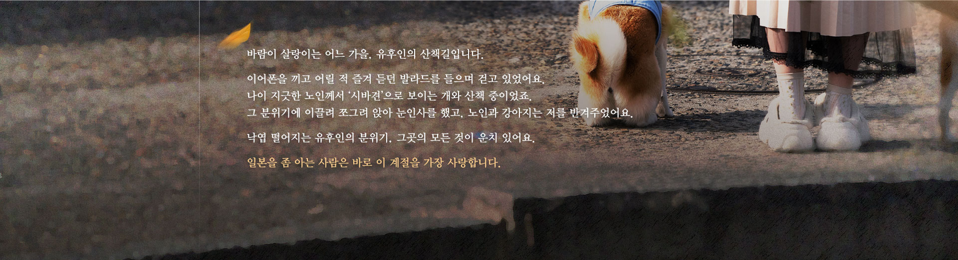 컨텐츠