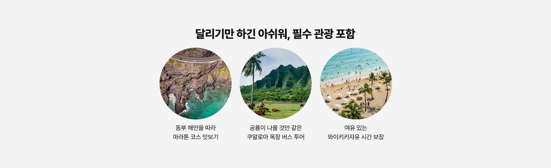 컨텐츠