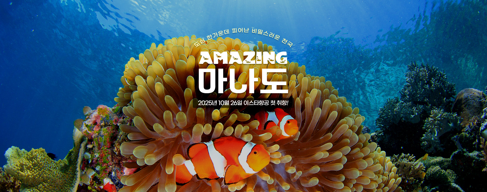상단2