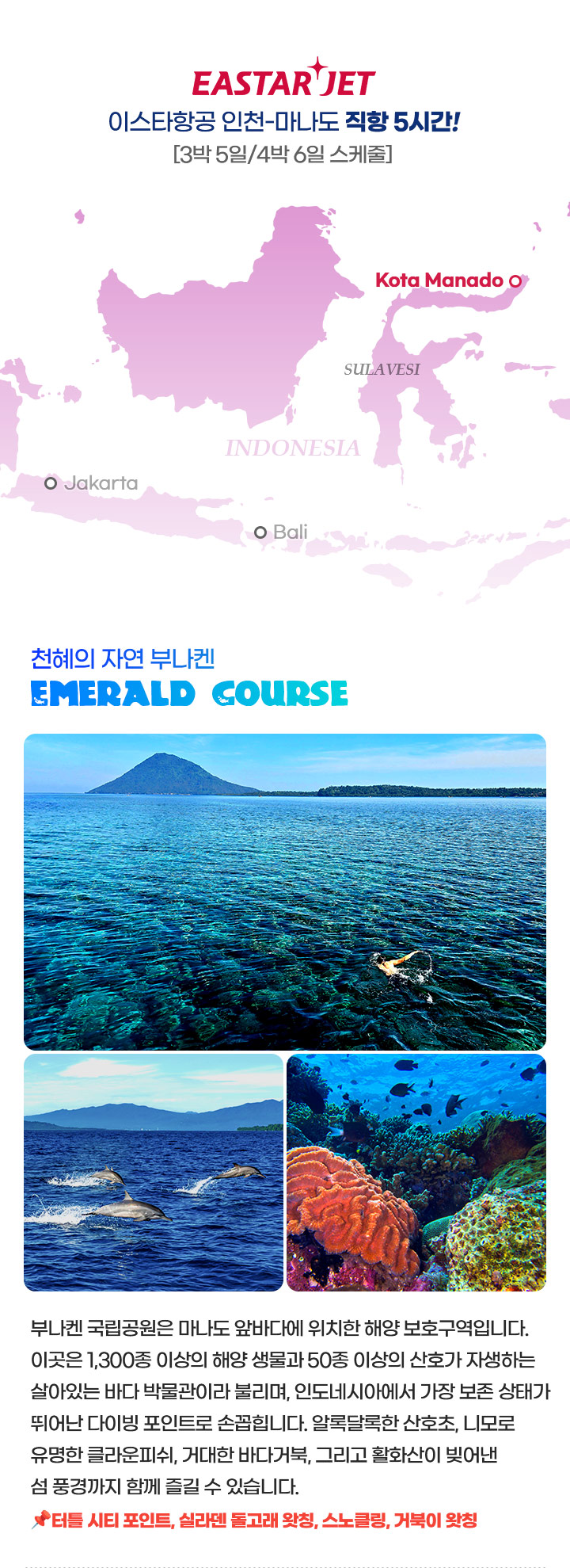 컨텐츠