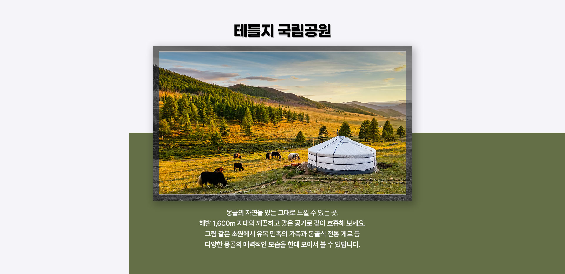 기획전 이미지